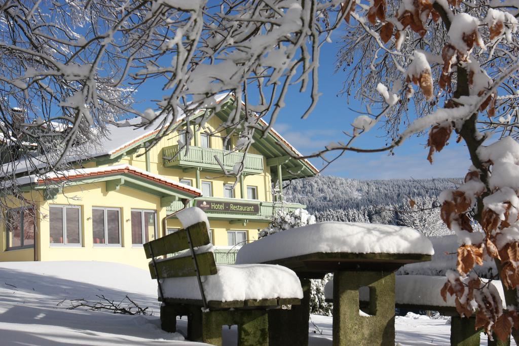 Hotel Reiner 2*
